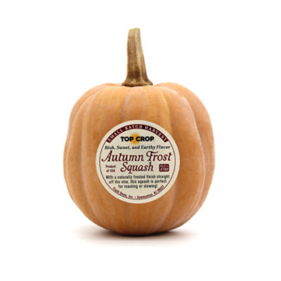 Fresh Autumn Frost Squash