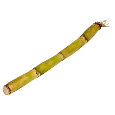 Sugar Cane, 1 each