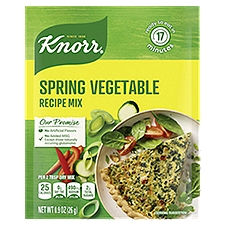 Knorr Soup Mix and Recipe Mix Spring Vegetable 0.9 OZ