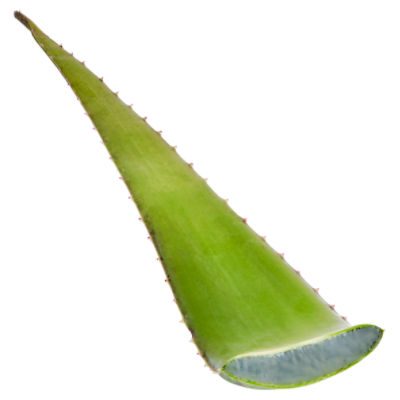Fresh Aloe