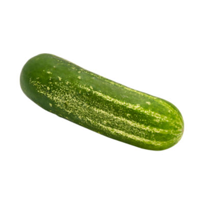 Fresh Pickle Cucumber