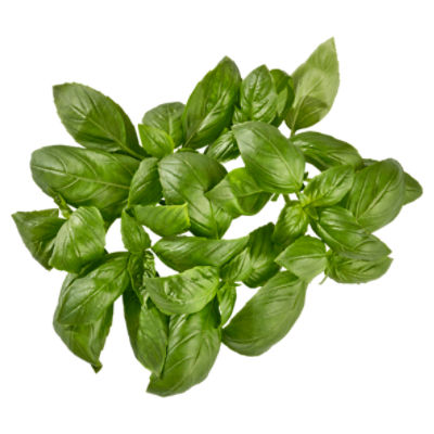Fresh Sweet Basil, bunch