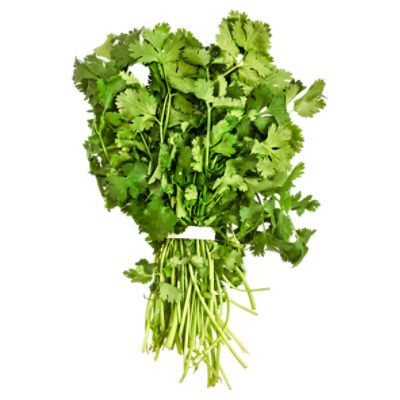 Fresh Cilantro, 1 bunch, 1 each