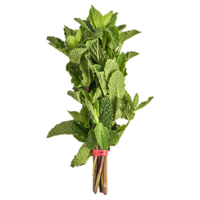 Fresh Mint, 1 each