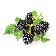 Berry Lovers Blackberries, 12 oz