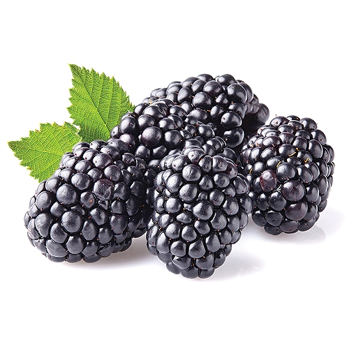 Aside from being nutritionally rich, Blackberries have a delicious, sweet taste that burst when eaten.  