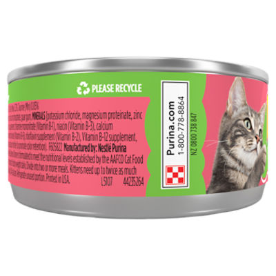 Friskies indoor salmon discount pate