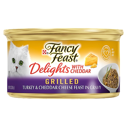 Purina Fancy Feast Gravy Wet Cat Food, Delights Turkey & Cheddar Cheese Feast in Gravy - 3 oz. Can