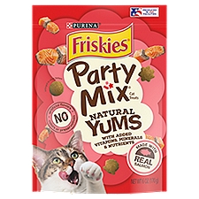 Purina Friskies Natural Cat Treats, Party Mix Natural Yums With Real Salmon- 6 oz. Pouch, 6 Ounce