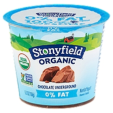Stonyfield Organic 0% Fat Chocolate Underground Nonfat Yogurt, 5.3 oz
