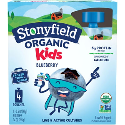 Stonyfield Organic Kids Lowfat Yogurt Pouch - Blueberry, 14 oz