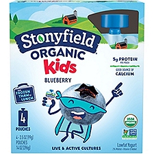 Stonyfield Organic Kids Lowfat Yogurt Pouch - Blueberry, 14 oz