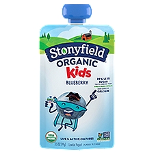 Stonyfield Organic Kids Blueberry Lowfat Yogurt, 3.5 oz. Pouch