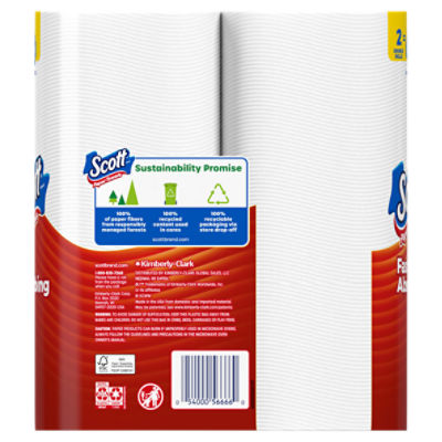 Scott Fast Absorbing Paper Towels, 2 count
