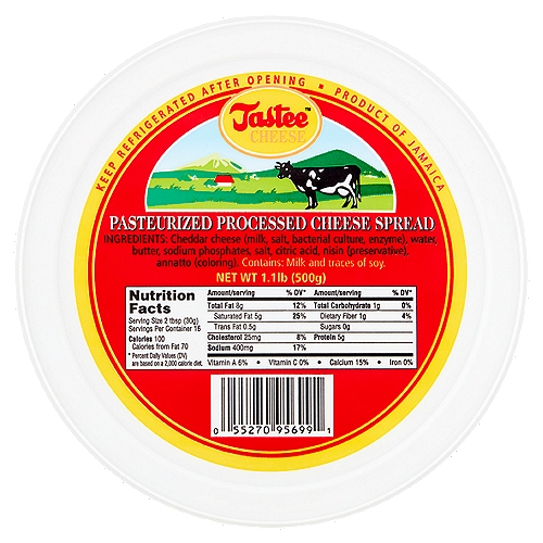 Tastee Cheese Pasteurized Processed Cheese Spread, 1.1 lb