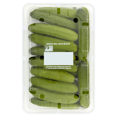 Sunset® Mini Cucumbers, 6 ct / 14 oz - Harris Teeter