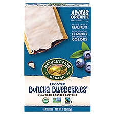 Nature's Path Buncha Blueberries Frosted Toaster Pastries, 11 oz