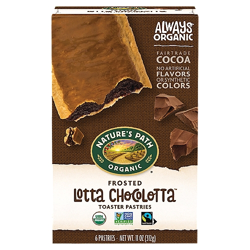 Nature's Path Lotta Chocolotta Frosted Toaster Pastries, 11 oz