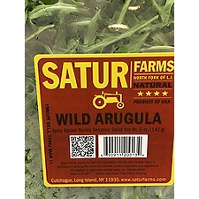 Produce Wild Arugula Clamshell, 5 oz