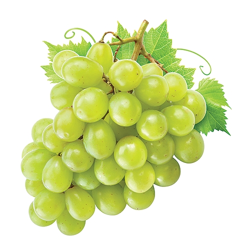 Organic Green Seedless Grapes. Ripe & Juicy, with a beautiful balance of sweet and tart. Rinse and eat them right off the vine for a healthy, refreshing snack any time of day. Average package weighs 2-2.5 lbs. Final cost will be based on weight.