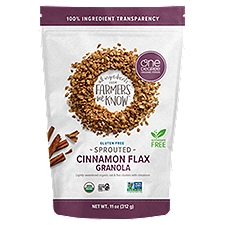 One Degree Organic Foods Sprouted Cinnamon Flax Granola, 11 oz