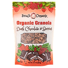 Brad's Organic Dark Chocolate & Berries, Granola, 11.5 Ounce
