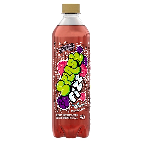 Splash Fizz, Raspberry Blackberry Flavor Sparkling Water Beverage, 20 Fl Oz Plastic Bottle
