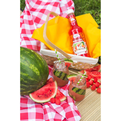 Master of Mixes Handcrafted Watermelon Daiquiri & Margarita Cocktail Mixer