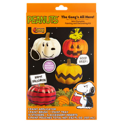 Pumpkin Masters Peanuts The Gang's All Here! Mini Pumpkin Painting and Decorating Kit