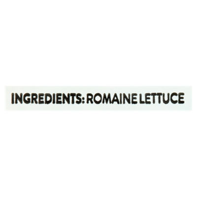 Fresh Express Chopped Romaine Salad Club Size, 32 oz