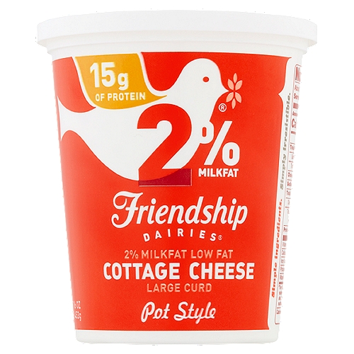 Friendship Dairies 2% Milkfat Low Fat Large Curd Pot Style Cottage Cheese, 16 oz