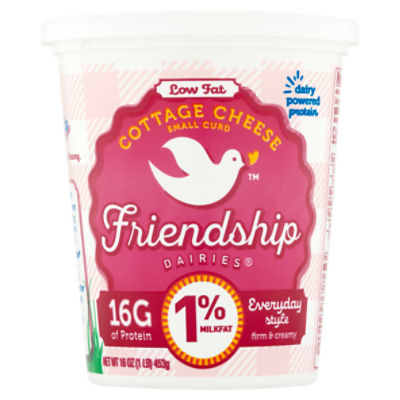 Friendship Dairies Small Curd Everyday Style Low Fat Cottage Cheese, 16 oz