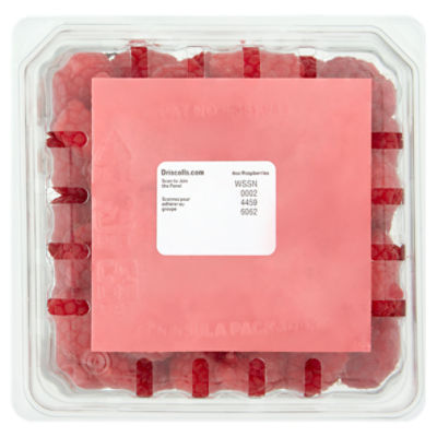 Wholesale Raspberry Drops, 12 jars per inner carton (170g p/jar) - Scott  Bros. CANDY® - Fieldfolio