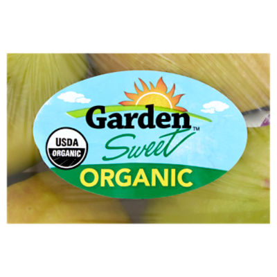 Garden Sweet Organic Gala Apple, 4 count, 20 oz