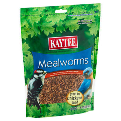 Kaytee Mealworms Wild Bird Food And Chicken Treat