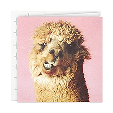 Hallmark Studio Ink (Alpaca), Birthday Card, 1 Each