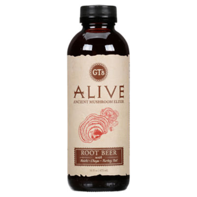 GT's Alive Root Beer Ancient Mushroom Elixir, 16 fl oz