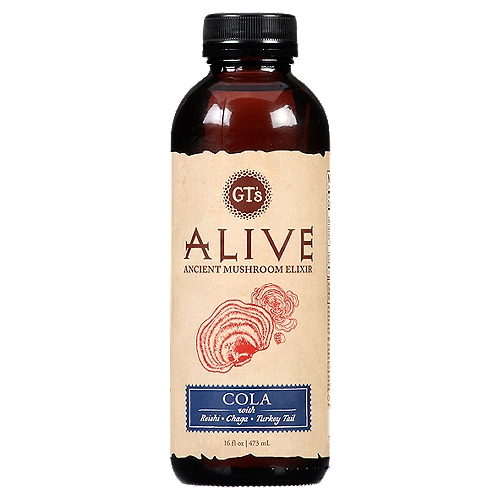 GT's Alive Cola Ancient Mushroom Elixir, 16 fl oz