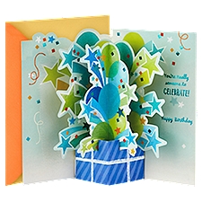 Hallmark Paper Wonder Pop Up Birthday Card (Someone to Celebrate), 1 Each