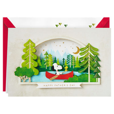 Hallmark Signature Peanuts Fathers Day Card (Snoopy and Woodstock Canoeing)