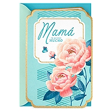 Vida Spanish from Son or Daughter Te Quiero Mucho / I Love You, Mothers Day Card, 1 Each