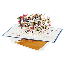 Hallmark Signature Paper Wonder Pop Up Father's Day Card (Celebrating You)