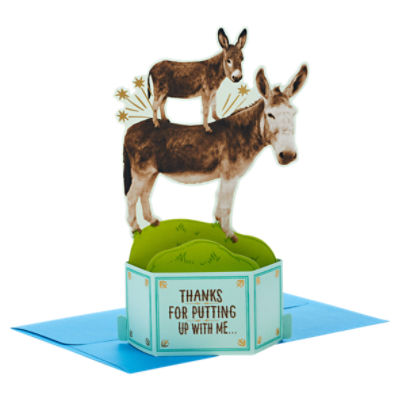 Hallmark Paper Wonder Shoebox Funny Pop Up Fathers Day Card, Mothers Day Card, or Birthday Card from Son or Daughter (Donkeys, Pain in the . . .)