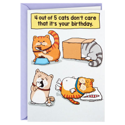 Hallmark Shoebox Funny Birthday Card (Cats Don't Care), 1 Each