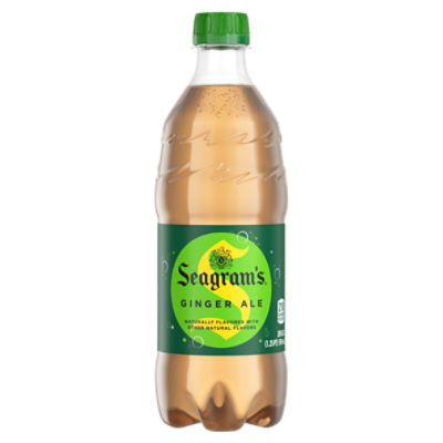 Seagrams Ginger Ale Bottle, 20 fl oz