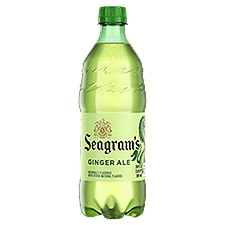 Seagrams Ginger Ale Bottle, 20 fl oz
