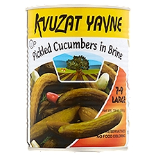 Kvuzat Yavne Large Pickled Cucumbers in Brine, 19 oz