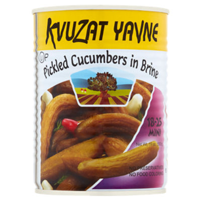 Kvuzat Yavne Pickled Cucumbers in Brine, 19 oz