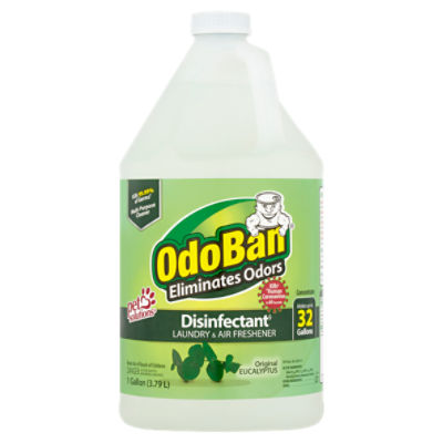 OdoBan Original Eucalyptus Laundry & Air Freshener, 1 gallon