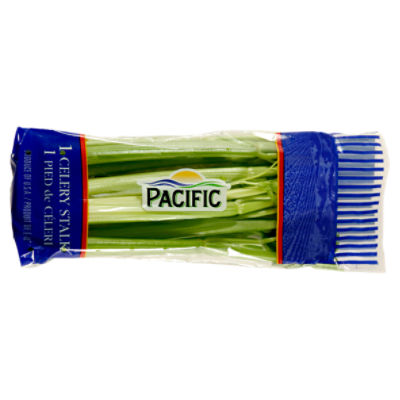 Pacific Celery Stalk